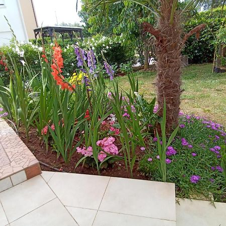 Bluegum Apartments Ližnjan Екстериор снимка